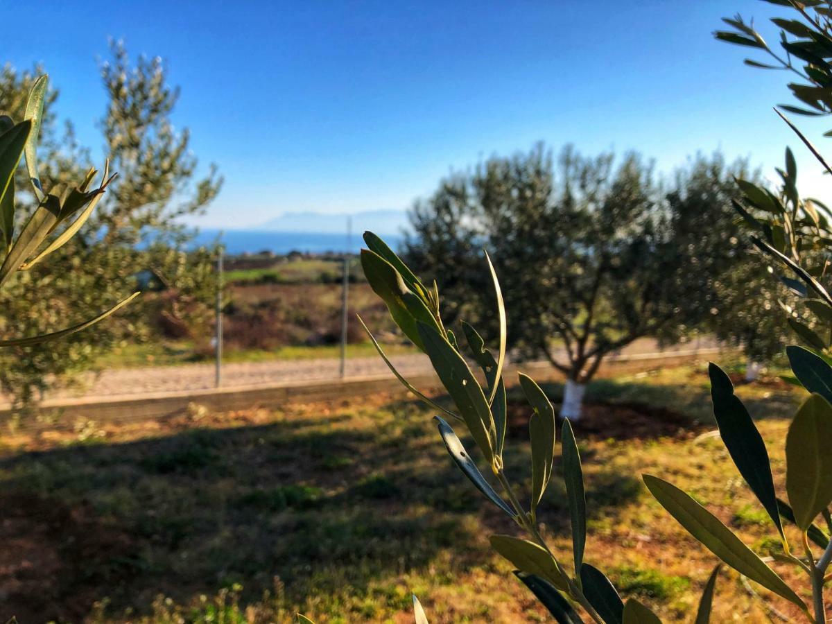 The Hillhouse Near Alexandroupoli