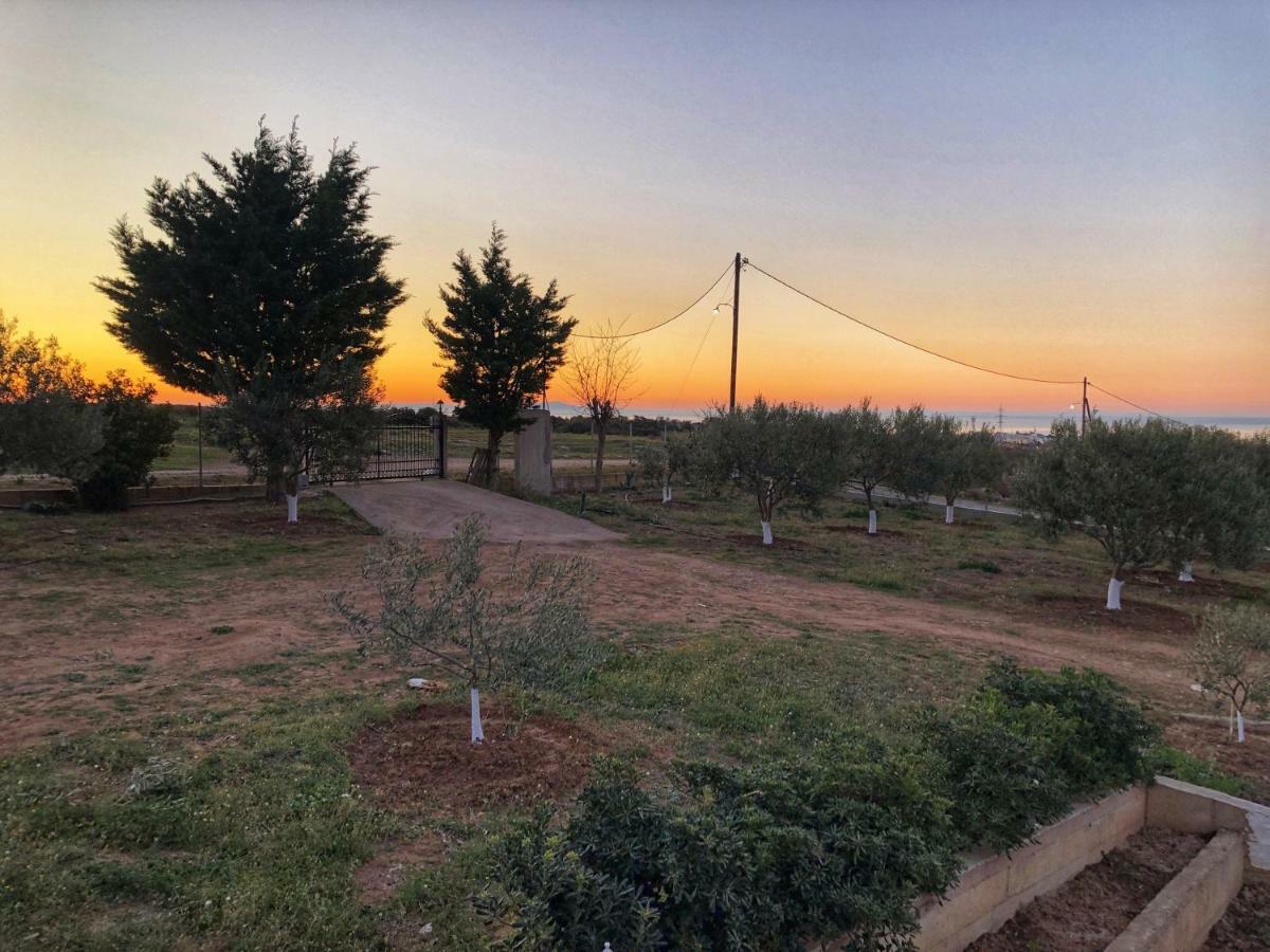 The Hillhouse Near * Alexandroupoli